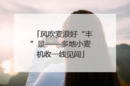 风吹麦浪好“丰”景——多地小麦机收一线见闻