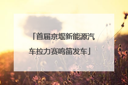 首届京堰新能源汽车拉力赛鸣笛发车