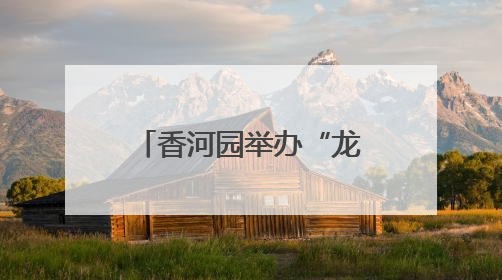香河园举办“龙舟竞速”嘉年华，让“奔跑者”感受节日温情