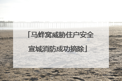 马蜂窝威胁住户安全 宣城消防成功摘除