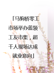 马驹桥零工市场举办蓝领工友市集，超千人现场达成就业意向