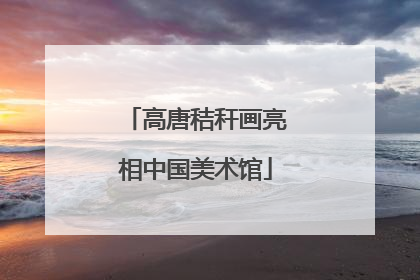 高唐秸秆画亮相中国美术馆