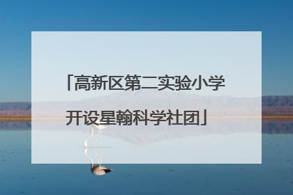 高新区第二实验小学开设星翰科学社团