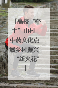 高校“牵手”山村 中药文化点燃乡村振兴“新火花”
