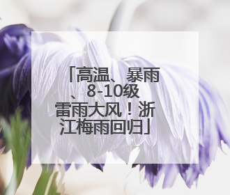 高温、暴雨、8-10级雷雨大风！浙江梅雨回归