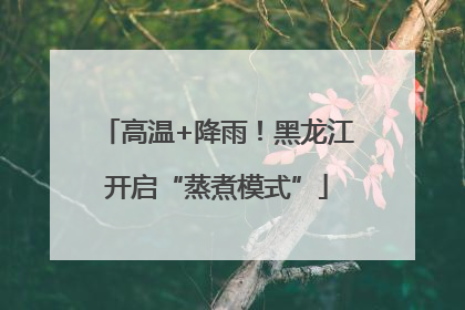 高温+降雨！黑龙江开启“蒸煮模式”