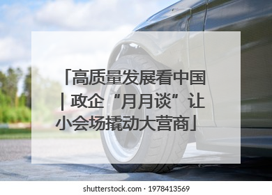 高质量发展看中国｜政企“月月谈”让小会场撬动大营商