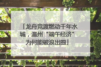 龙舟竞渡燃动千年水城，温州“端午经济”为何能破浪出圈