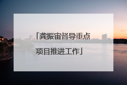 龚振宙督导重点项目推进工作