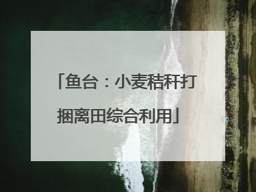 鱼台：小麦秸秆打捆离田综合利用
