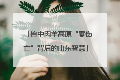 鲁中肉羊高原“零伤亡”背后的山东智慧
