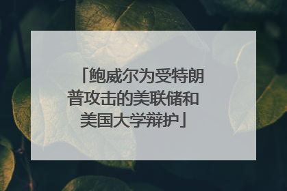 鲍威尔为受特朗普攻击的美联储和美国大学辩护