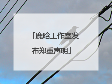 鹿晗工作室发布郑重声明