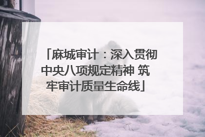 麻城审计：深入贯彻中央八项规定精神 筑牢审计质量生命线