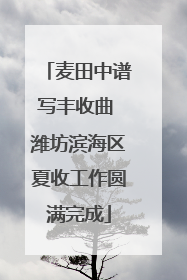 麦田中谱写丰收曲 潍坊滨海区夏收工作圆满完成