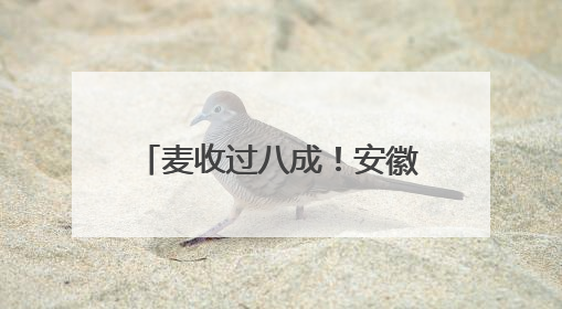 麦收过八成！安徽夏粮有望再迎丰收