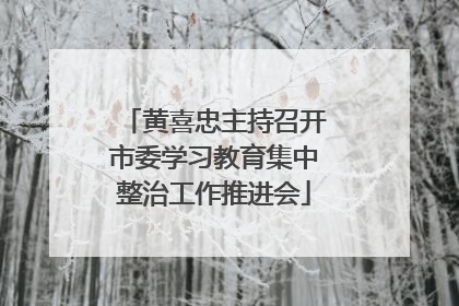 黄喜忠主持召开市委学习教育集中整治工作推进会