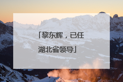 黎东辉，已任湖北省领导