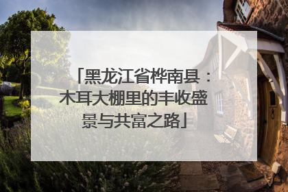 黑龙江省桦南县：木耳大棚里的丰收盛景与共富之路