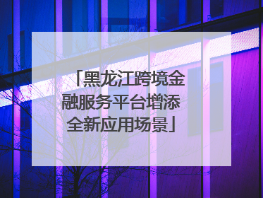 黑龙江跨境金融服务平台增添全新应用场景