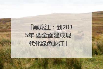 黑龙江：到2035年 要全面建成现代化绿色龙江