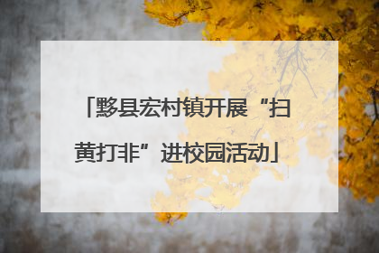 黟县宏村镇开展“扫黄打非”进校园活动
