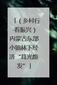 （乡村行·看振兴）内蒙古东部小镇林下经济“茸光焕发”