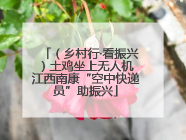 （乡村行·看振兴）土鸡坐上无人机 江西南康“空中快递员”助振兴