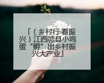 （乡村行·看振兴）江西赣县小鸡蛋“孵”出乡村振兴大产业