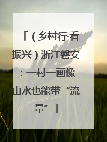 （乡村行·看振兴）浙江磐安：一村一画像 山水也能带“流量”