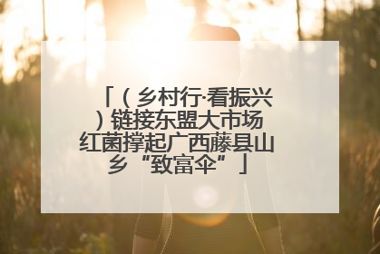 （乡村行·看振兴）链接东盟大市场 红菌撑起广西藤县山乡“致富伞”