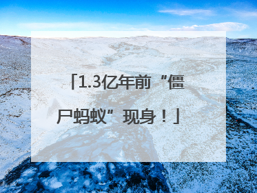 1.3亿年前“僵尸蚂蚁”现身！