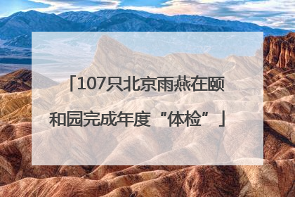 107只北京雨燕在颐和园完成年度“体检”