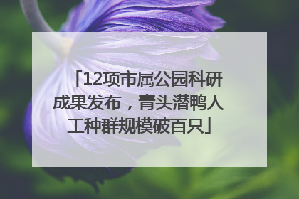 12项市属公园科研成果发布，青头潜鸭人工种群规模破百只