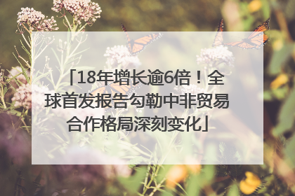18年增长逾6倍！全球首发报告勾勒中非贸易合作格局深刻变化