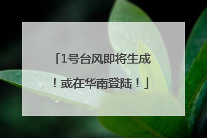 1号台风即将生成！或在华南登陆！