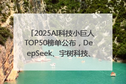 2025AI科技小巨人TOP50榜单公布，DeepSeek、宇树科技、蘑菇车联等企业荣誉上榜