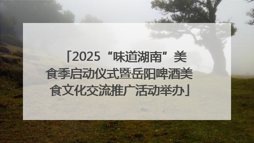 2025“味道湖南”美食季启动仪式暨岳阳啤酒美食文化交流推广活动举办