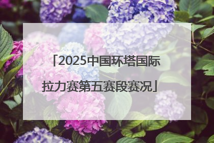 2025中国环塔国际拉力赛第五赛段赛况