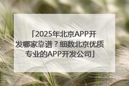 2025年北京APP开发哪家靠谱？细数北京优质专业的APP开发公司