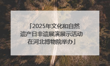 2025年文化和自然遗产日非遗展演展示活动在河北博物院举办