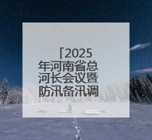2025年河南省总河长会议暨防汛备汛调度会召开
