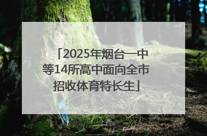 2025年烟台一中等14所高中面向全市招收体育特长生