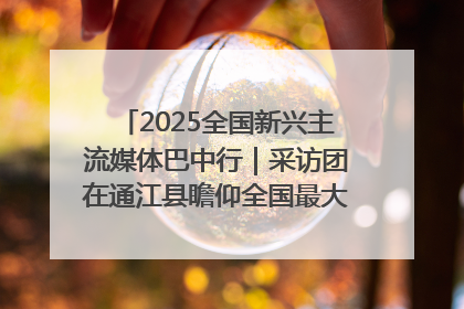 2025全国新兴主流媒体巴中行｜采访团在通江县瞻仰全国最大红军烈士陵园