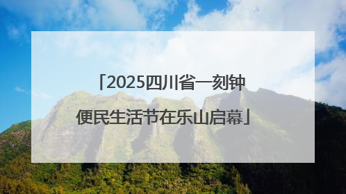2025四川省一刻钟便民生活节在乐山启幕