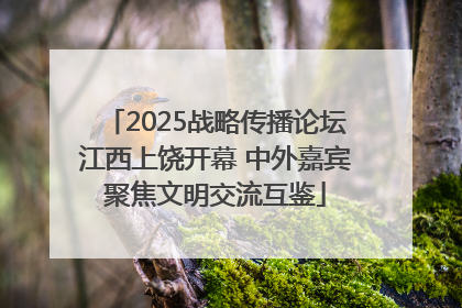 2025战略传播论坛江西上饶开幕 中外嘉宾聚焦文明交流互鉴