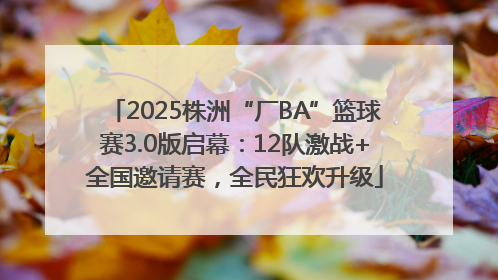 2025株洲“厂BA”篮球赛3.0版启幕：12队激战+全国邀请赛，全民狂欢升级