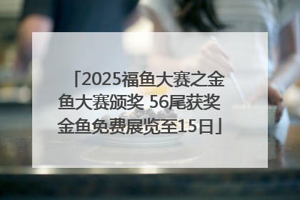2025福鱼大赛之金鱼大赛颁奖 56尾获奖金鱼免费展览至15日