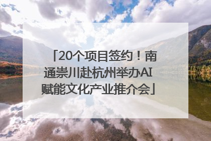 20个项目签约！南通崇川赴杭州举办AI赋能文化产业推介会