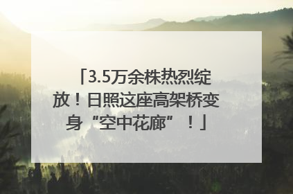 3.5万余株热烈绽放！日照这座高架桥变身“空中花廊”！